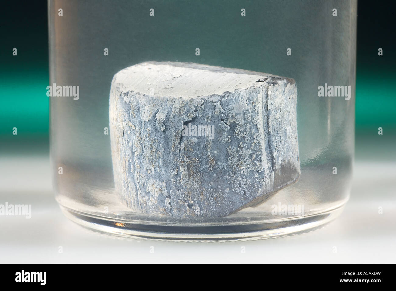 Elementares Barium in Mineralöl Stockfoto