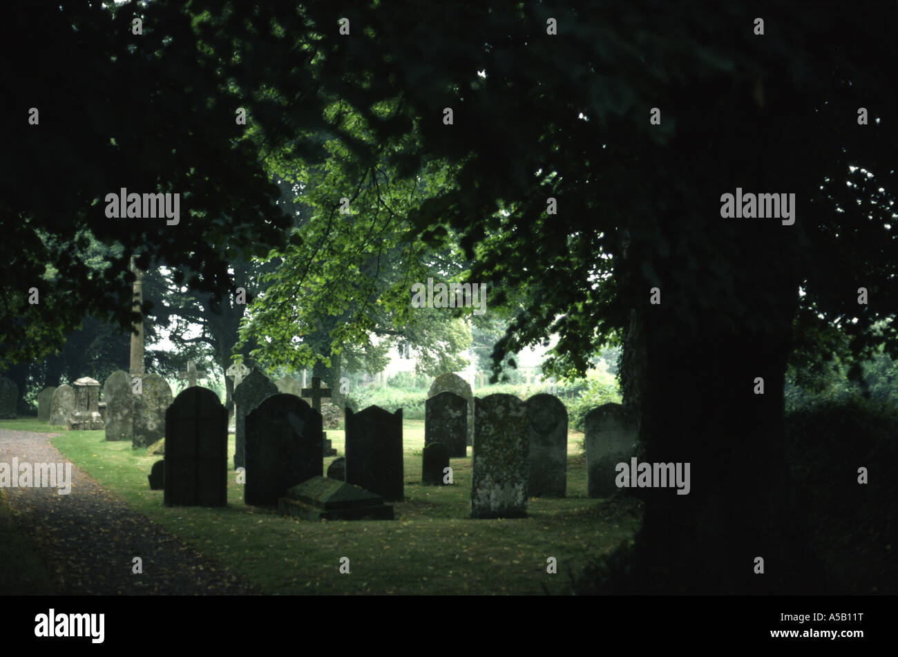 Alte Grabsteine auf einem kirchlichen Friedhof unter großen alten Bäumen Stockfoto