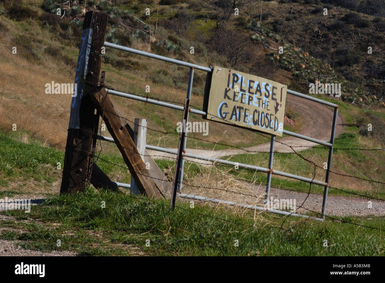 Los Padres National Forest Stockfoto