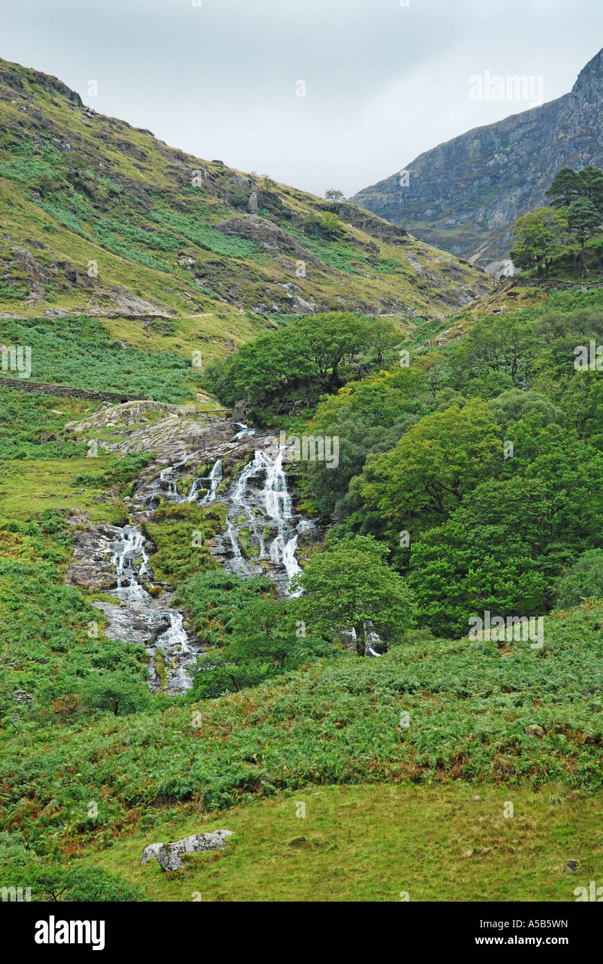 Wasserfall in den Ausläufern der Snowdon Stockfoto