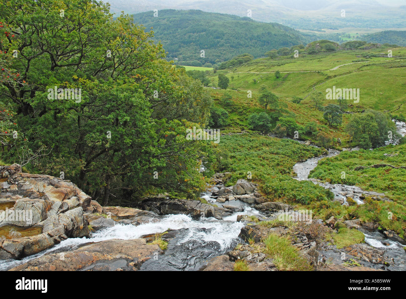 Wasserfall in den Ausläufern der Snowdon Stockfoto