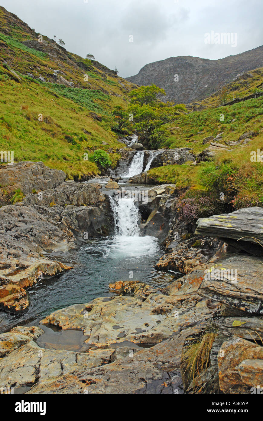 Wasserfall in den Ausläufern der Snowdon Stockfoto