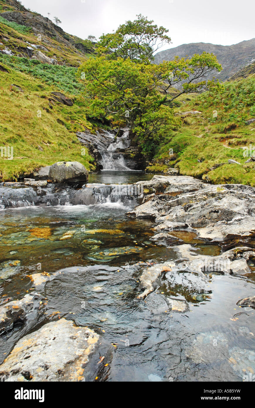 Wasserfall in den Ausläufern der Snowdon Stockfoto