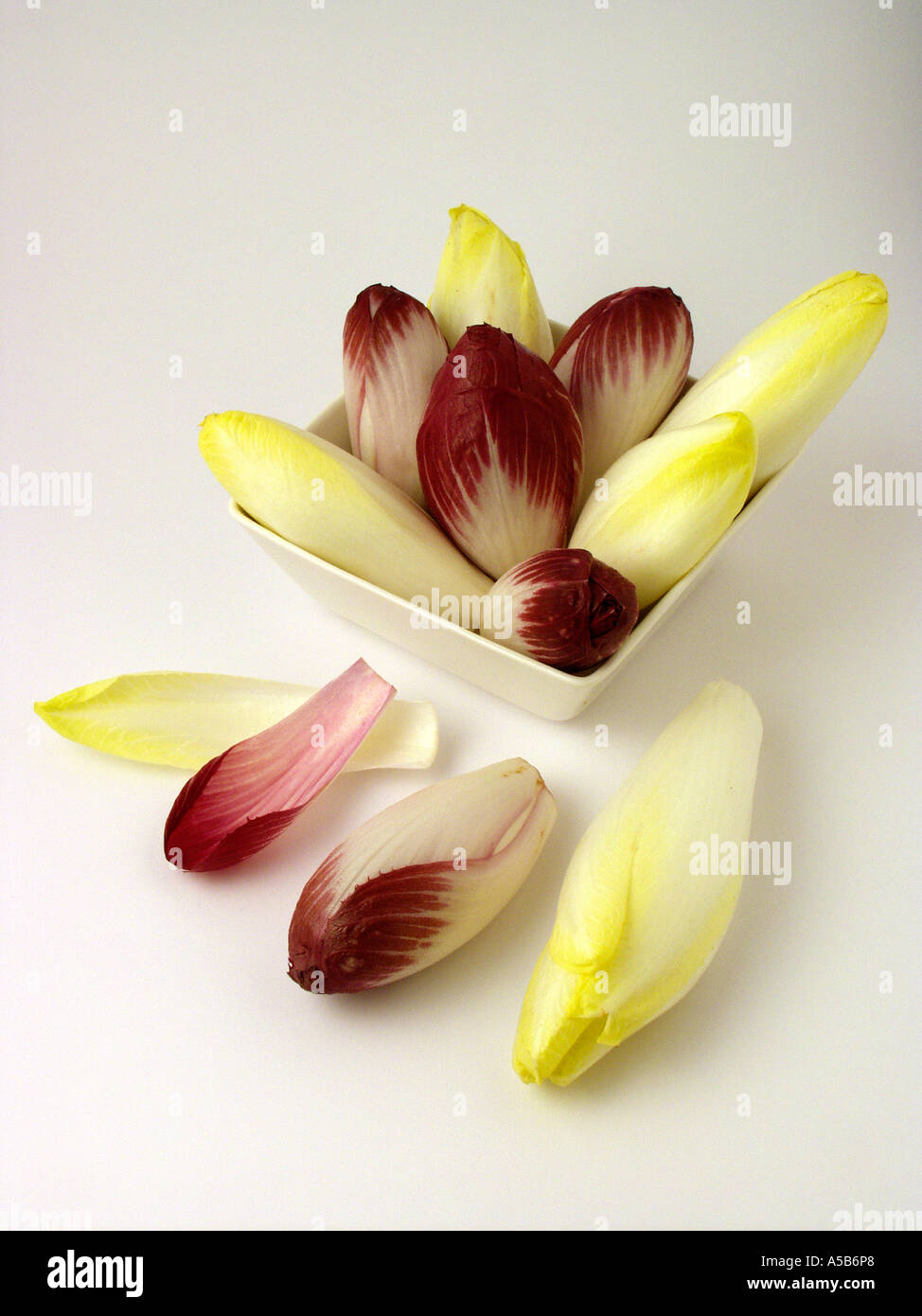 Chicorée Stockfoto