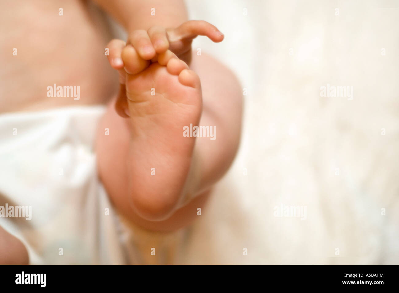 Baby Hand entdecken, seine Füße und Zehen. Stockfoto