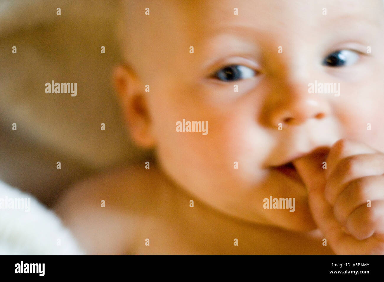 Engen Babys Gesicht in Nahaufnahme. Stockfoto