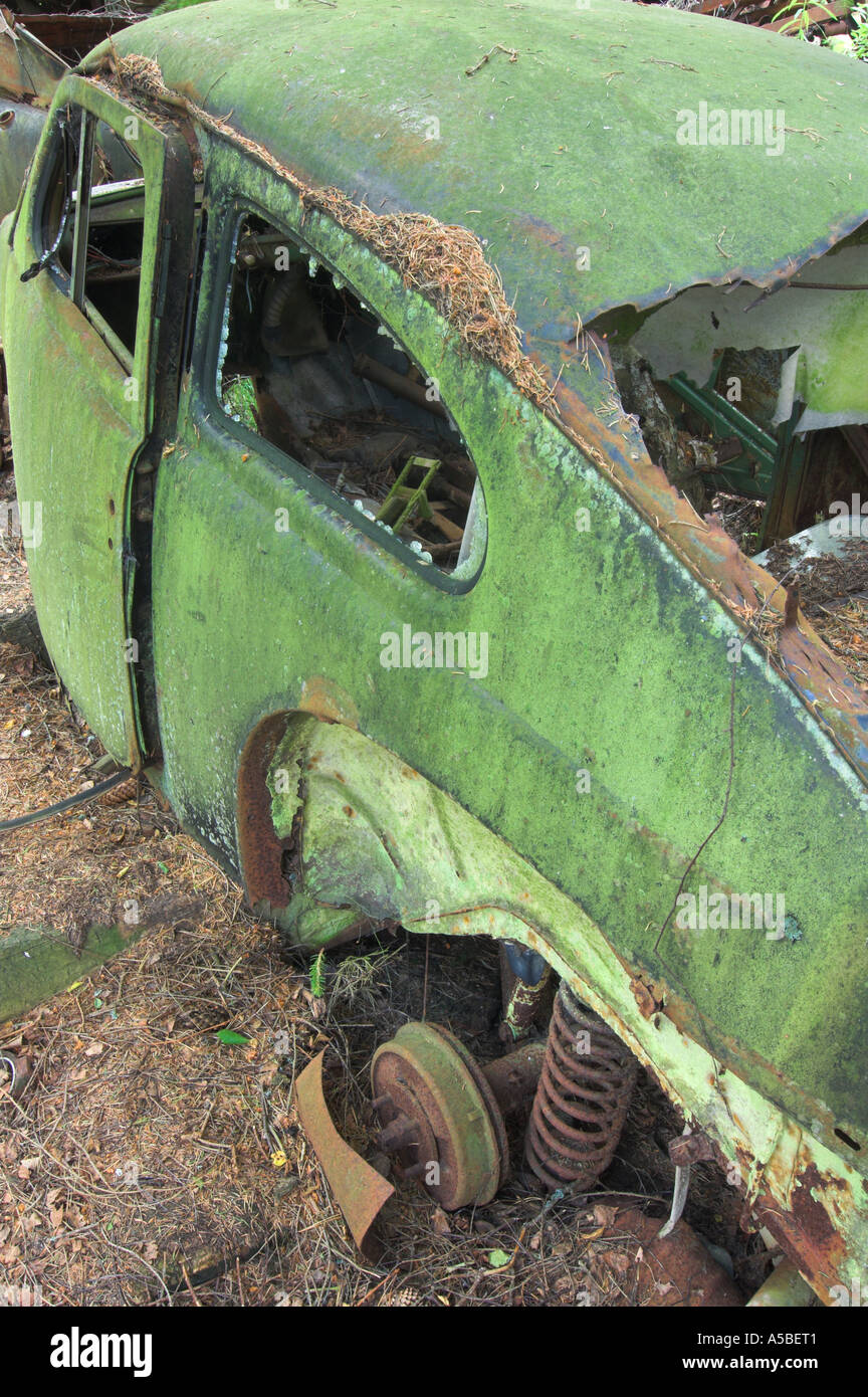Altes Auto in das Holz Schweden verlassen Stockfoto