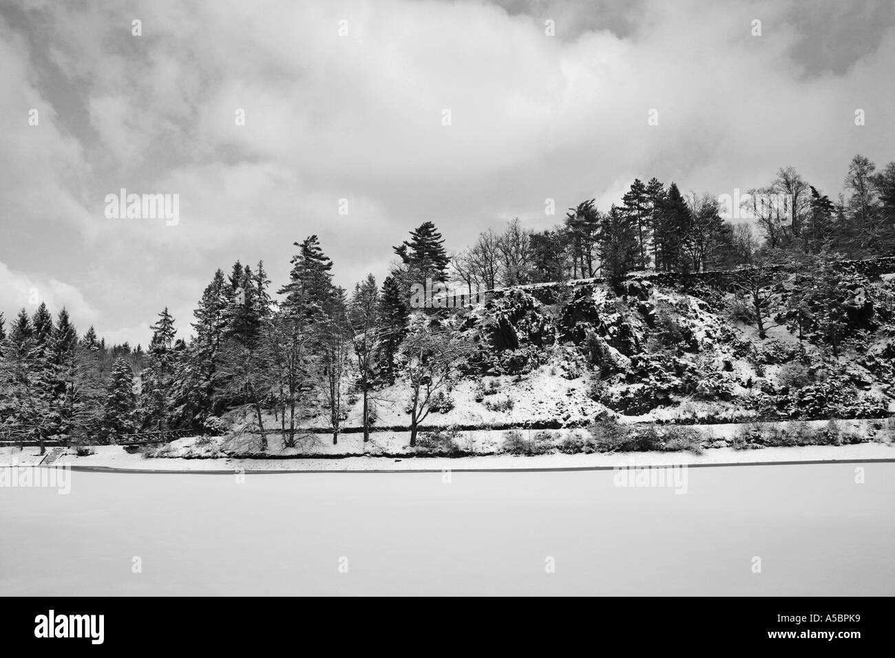 Winterwald und See Stockfoto