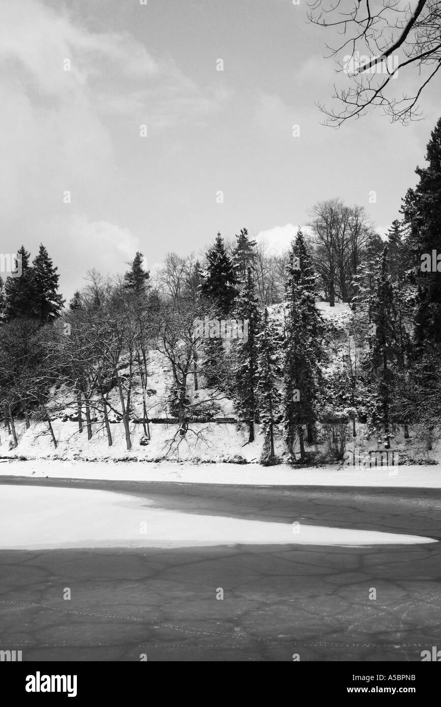 Winterwald und See Stockfoto