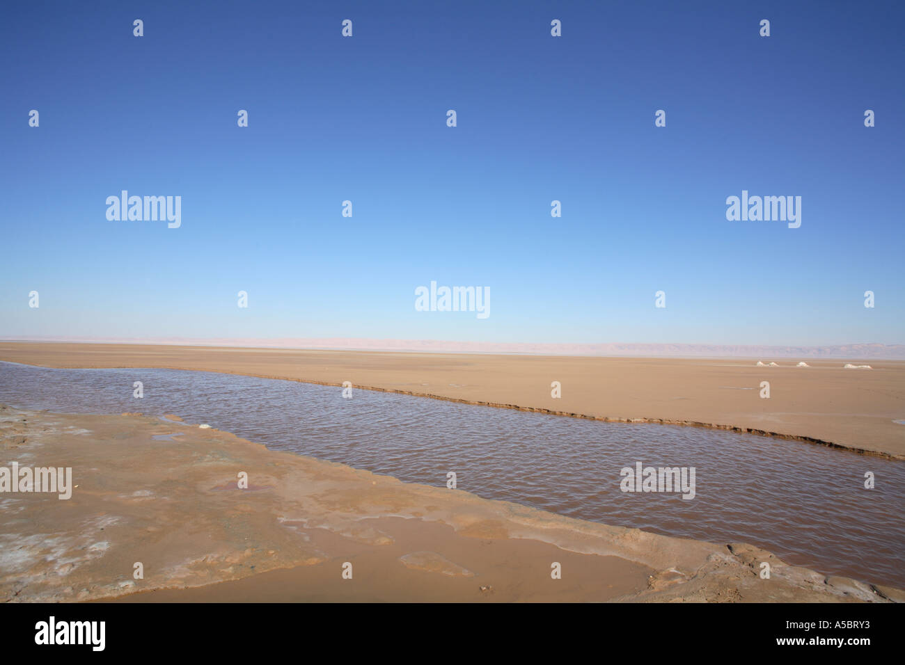 Horizontale Landschaft trostlos leer Chott el Djerid Salzsee mit blauem Himmel, Tunesien, Nordafrika Stockfoto