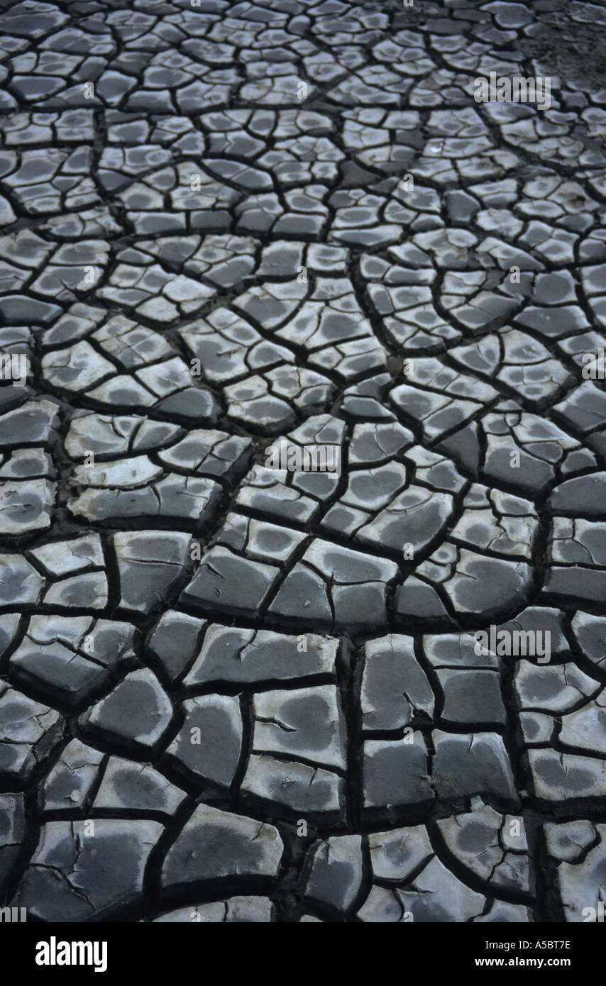 England-Wattwanderungen an Leigh auf Meer Essex England UK Stockfoto