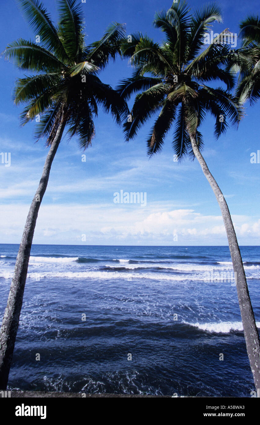 South Pacific Tahiti zwei Palmen an der berühmten Bucht von Matavai zugeordnet die Bounty-Meuterer in der Nähe von Point Venus Stockfoto