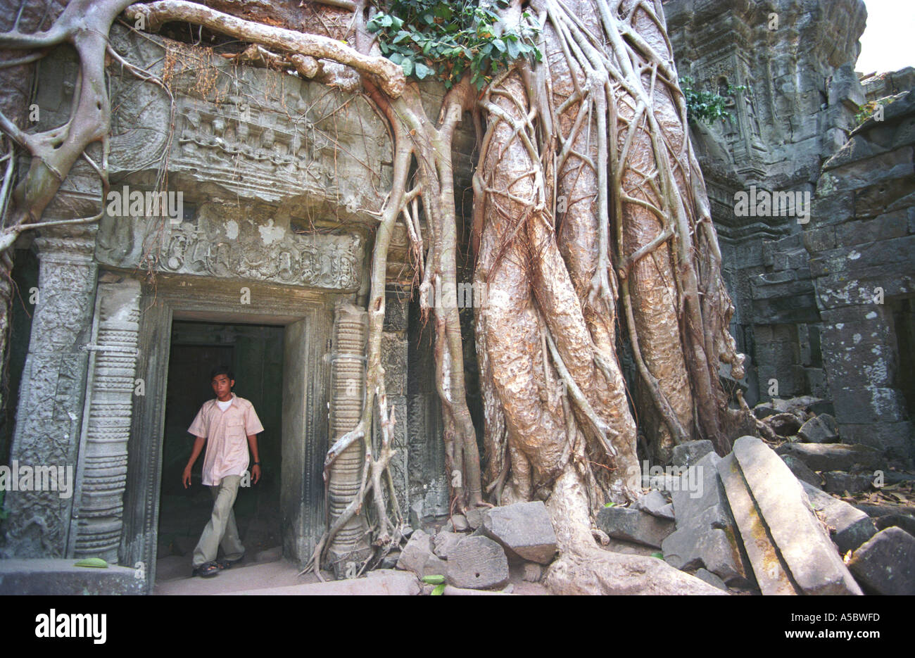 Ein Besucher von Ta Prohm (Jungle Tempel), Angkor (Kambodscha) Stockfoto
