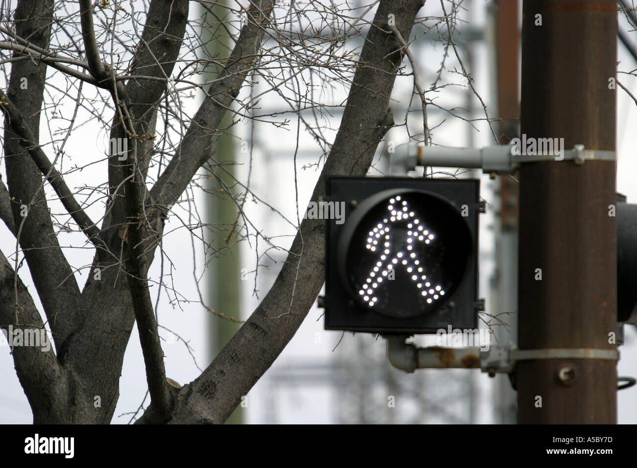 ZEICHEN FUßGÄNGER SIGNALE Stockfoto