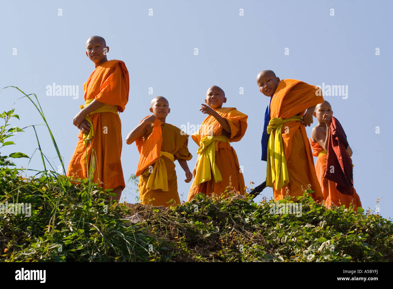 Novizen auf einem Hang Luang Prabang Laos Stockfoto