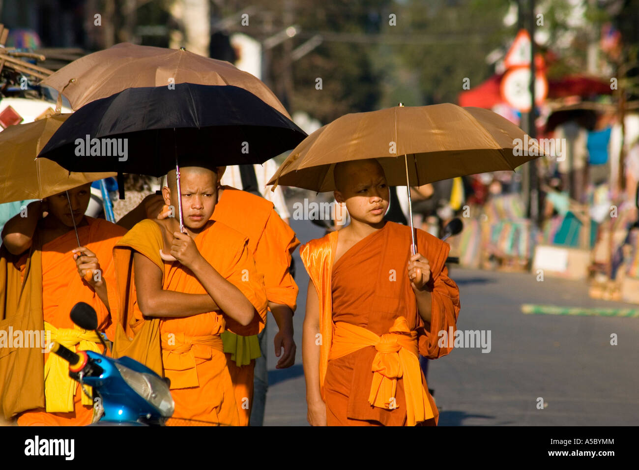 Novizen mit Sonnenschirmen zu Fuß auf der Straße Luang Prabang Laos Stockfoto