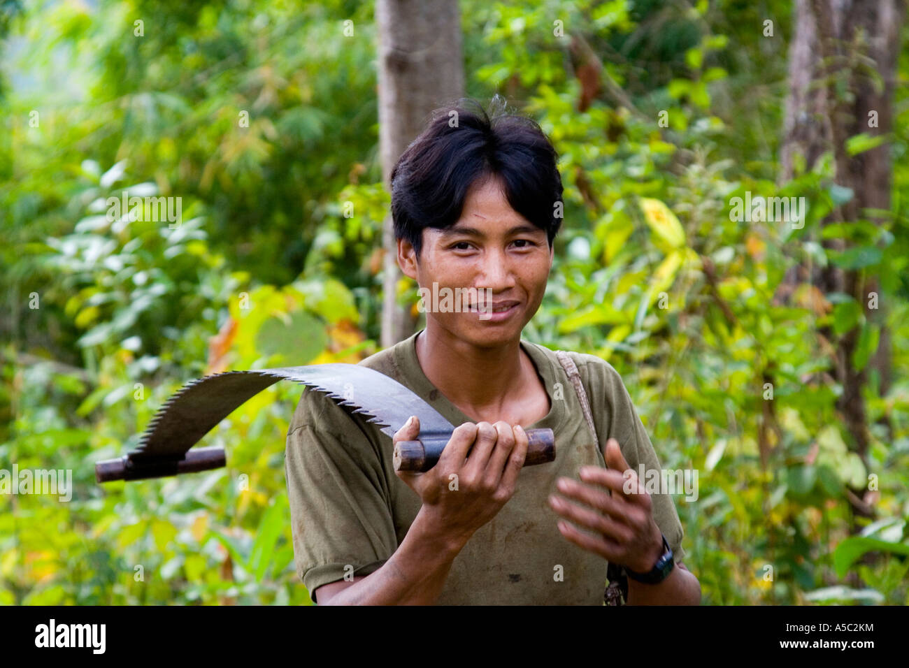 Holzfäller mit einem zwei-Mann sah Hongsa Laos Stockfoto