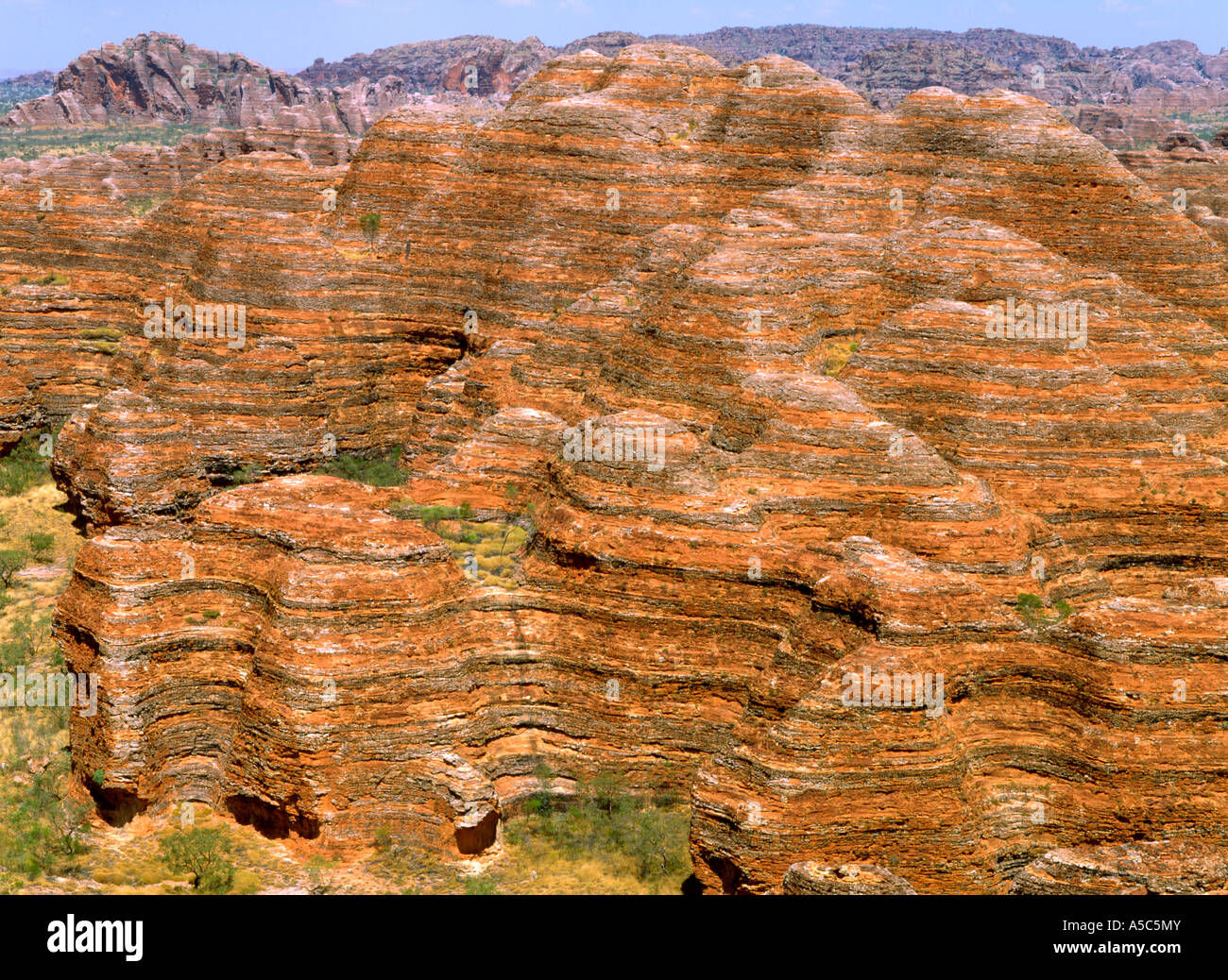 Australien. Western Australia. Bungle Bungle Range in der Kimberley-region Stockfoto