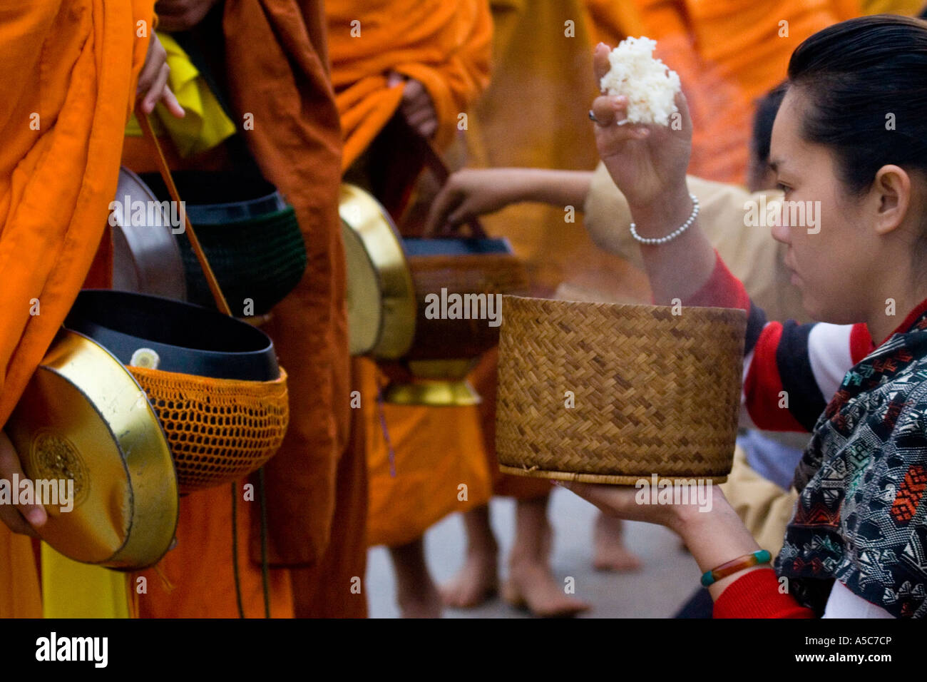 Buddhistische Frauen machen Angebot von klebrigen Reis während morgen Almosen Udomxai oder Muang Xai Laos Stockfoto