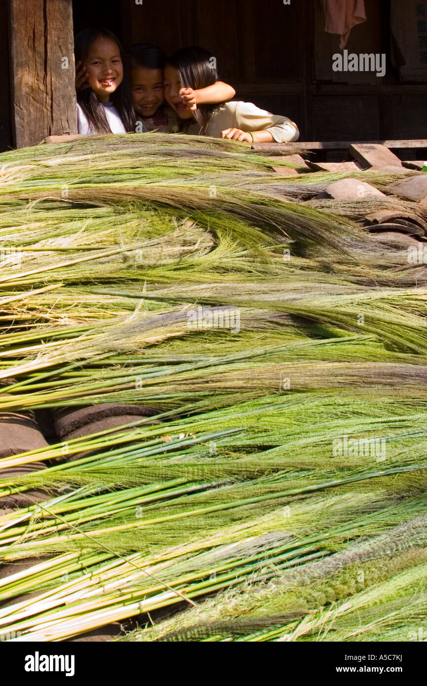 Chinesische Mädchen und Cogon Grases für Besen trocknen in der Sonne Yaoqu China Stockfoto