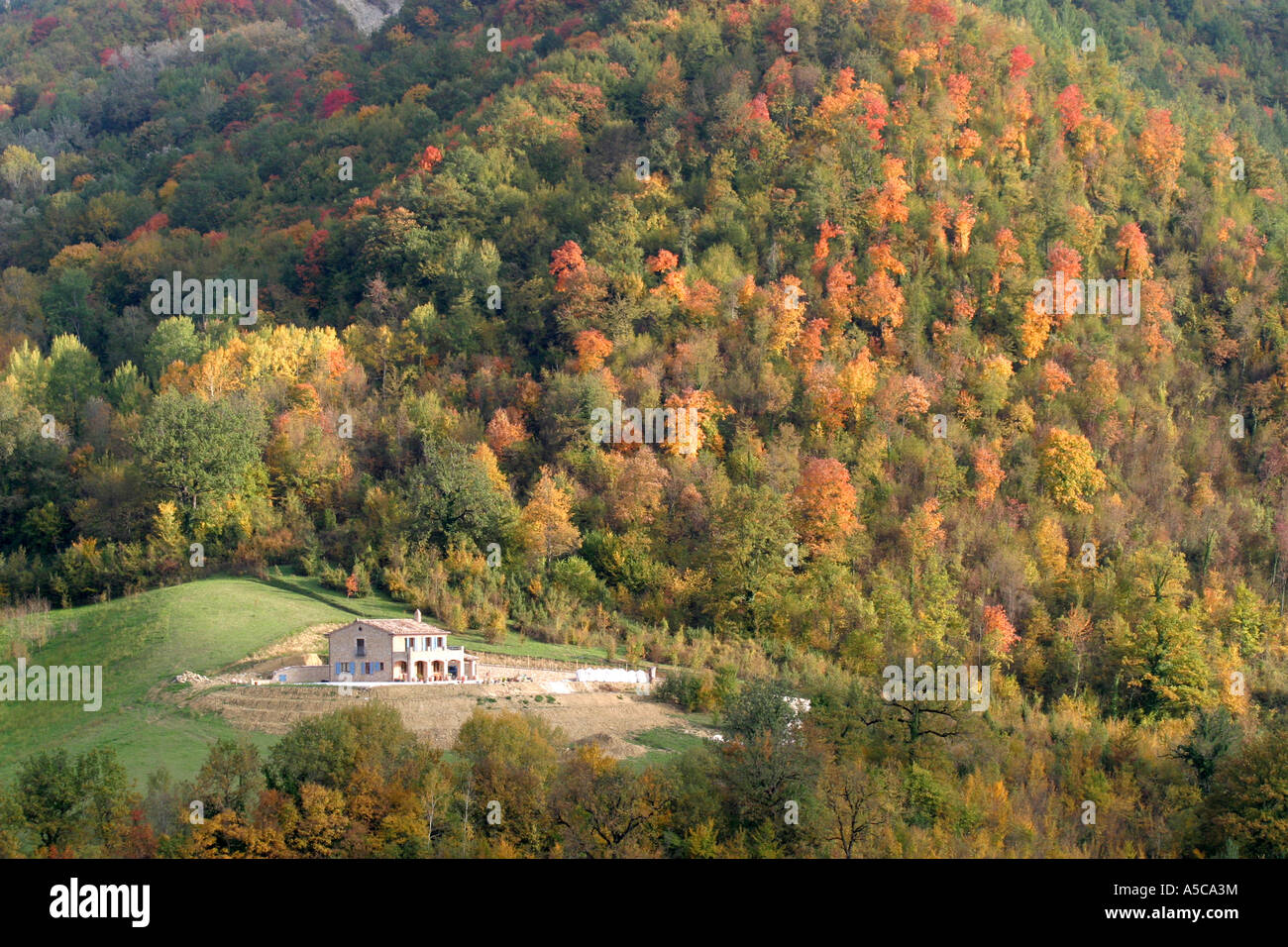 Herbst Herbstfarben auf dem Lande von Le Marche, Sibillini Berge, Italien. Stockfoto