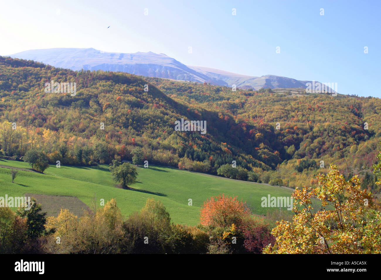 Wunderbarer Herbst und Herbstfarben der Bäume der Nationalpark Monti Sibillini Berge, Le Marche, Italien Stockfoto