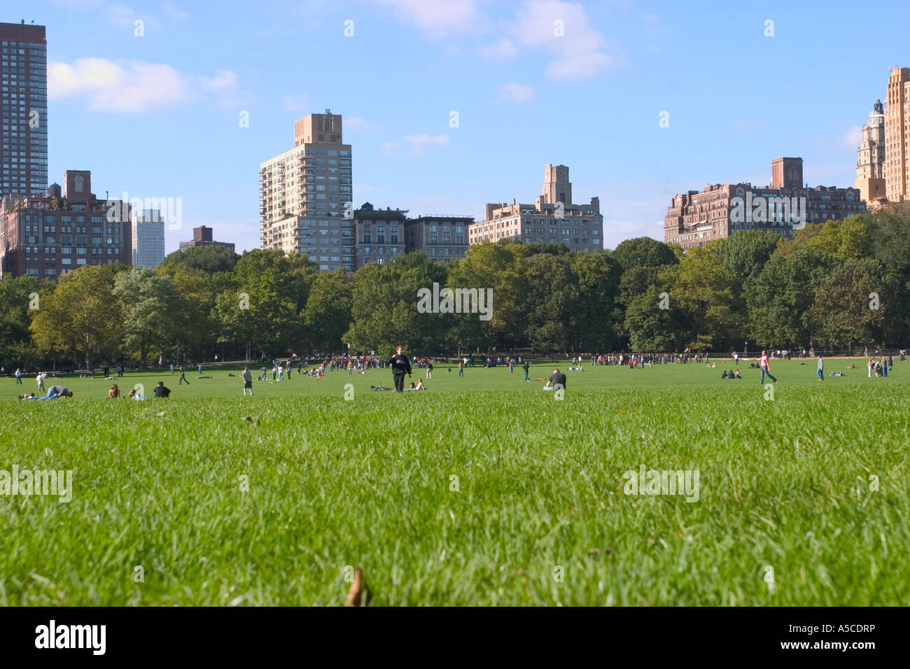 Central Park in Manhattan New York usa Stockfoto