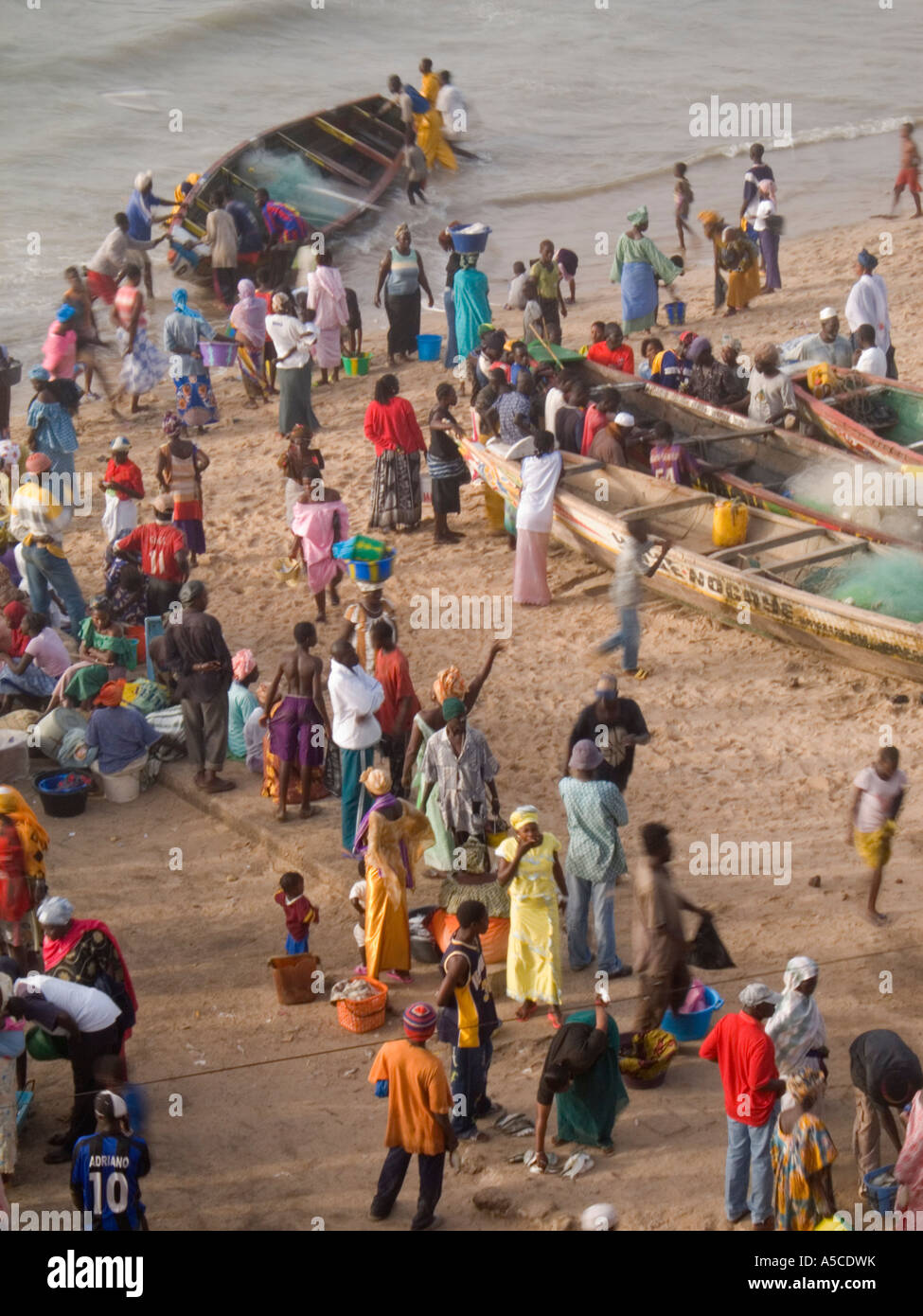 Fischer bringen wieder Fisch am Ende des Tages in Gambia Stockfoto