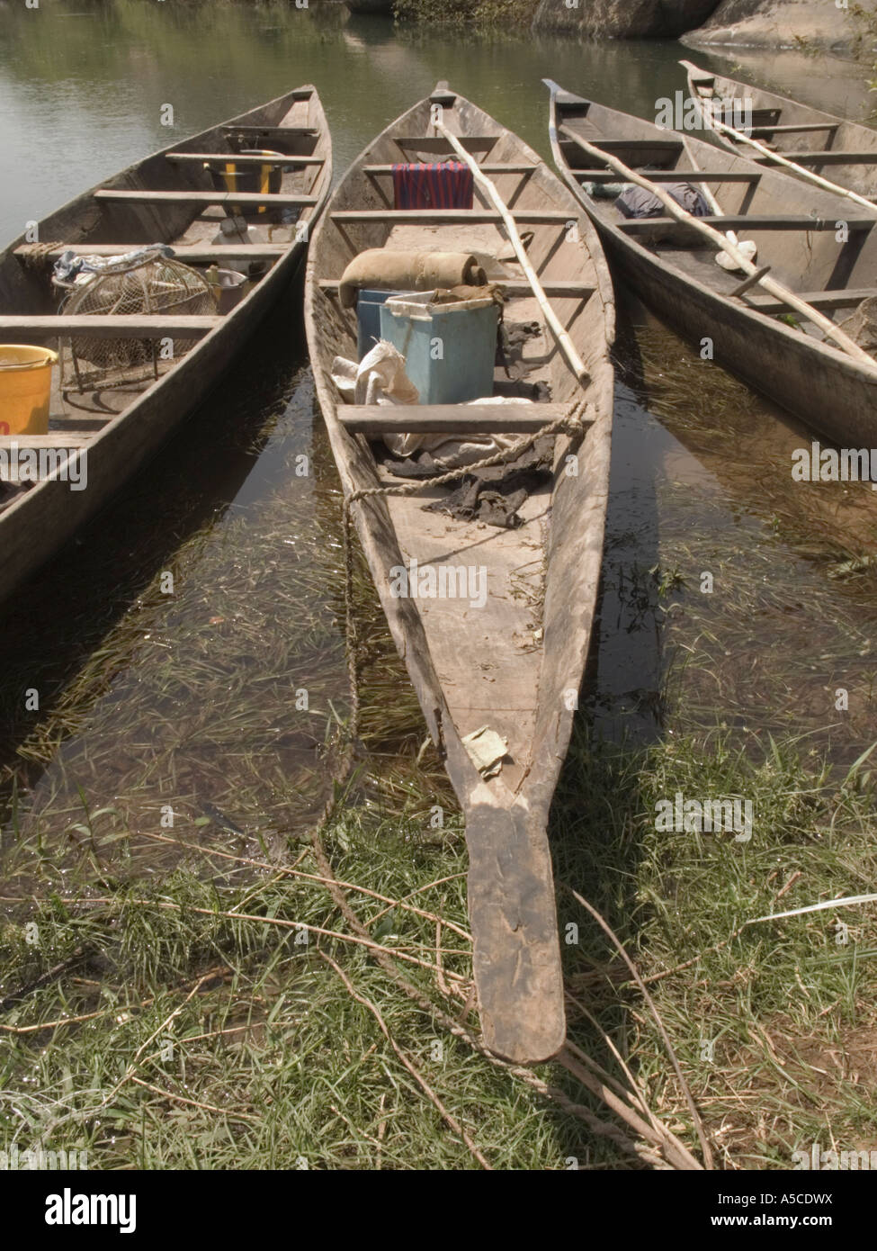 Angelboote/Fischerboote vertäut an der Seite des Flusses Senegal in Mali, "Westafrika" Stockfoto