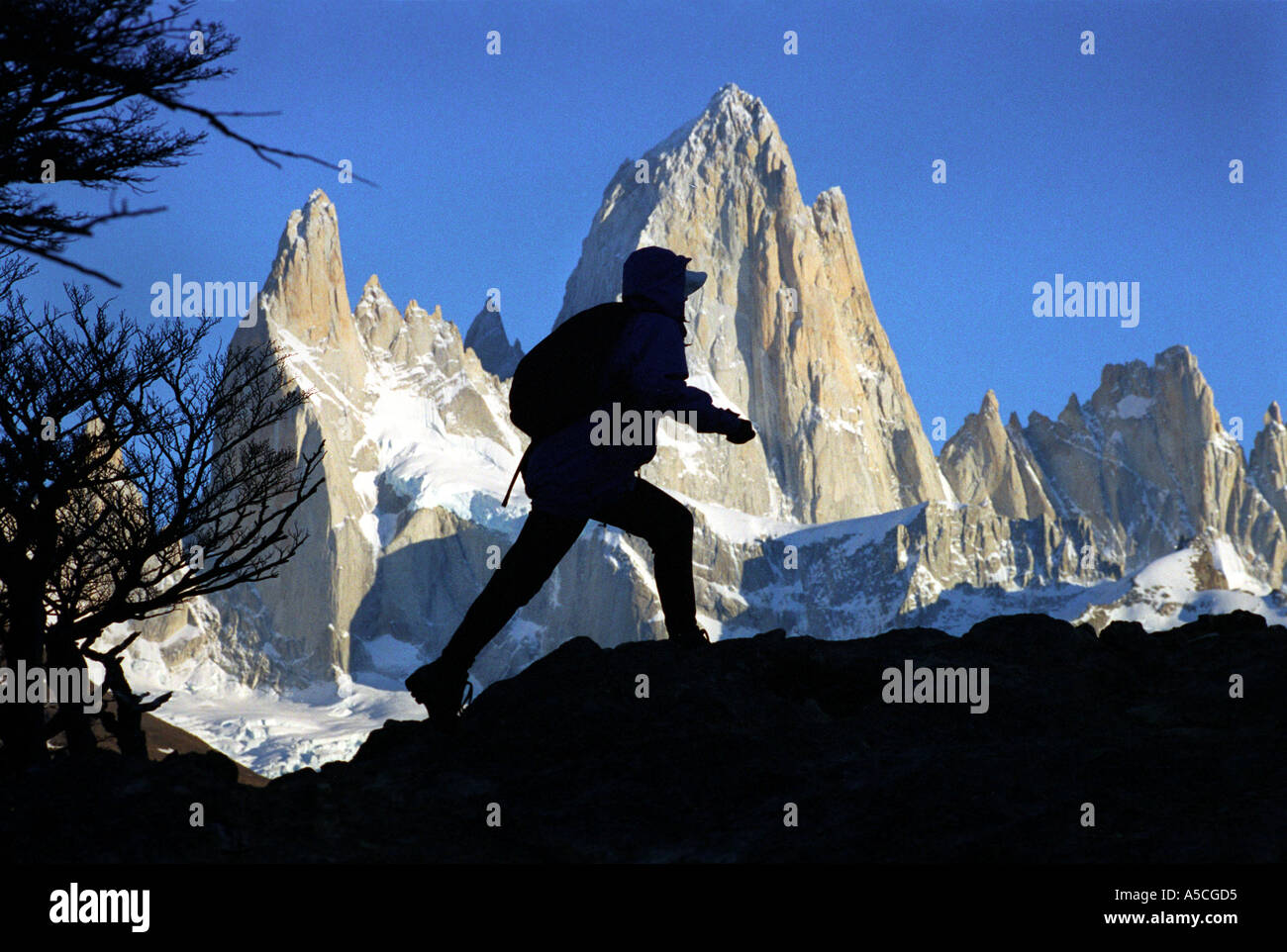 Eine weibliche Walker vor Mount Fitzroy Patagonia Anden Südamerikas Stockfoto