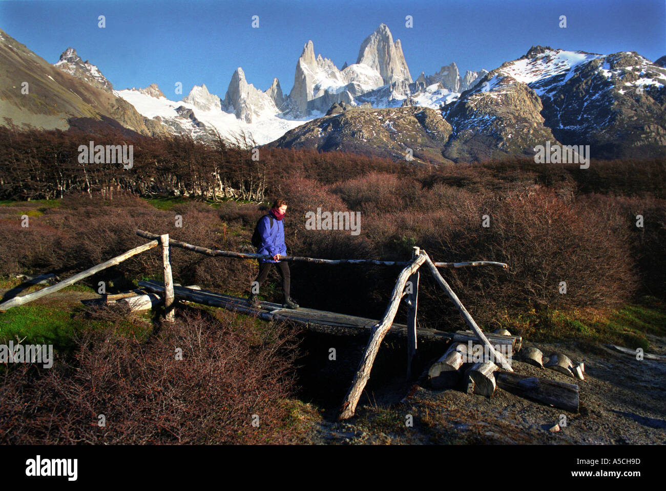 Ein Trekker am Mount Fitzroy in der Nähe von El Chalten in den patagonischen Anden Stockfoto