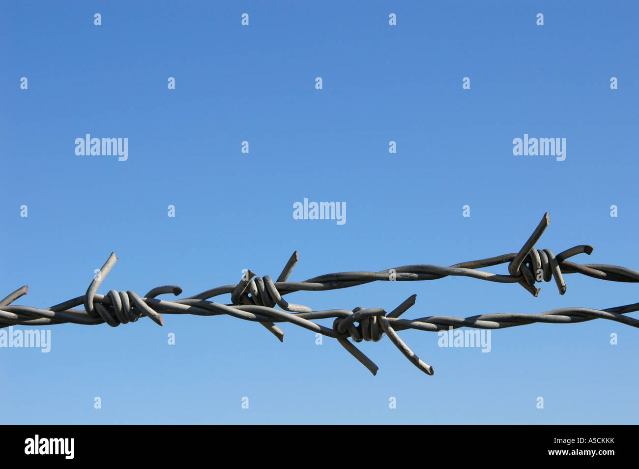 Stacheldraht auf dem blauen Himmelshintergrund Stockfoto