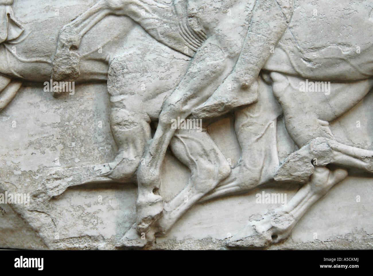 Detail von der berühmten Elgine Marmor Fries aus Parthenon im British Museum in London, Großbritannien Stockfoto