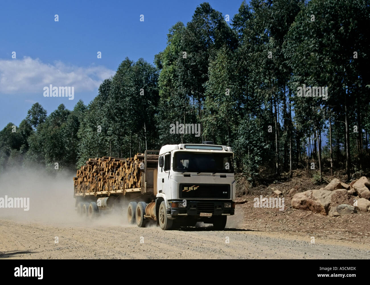 LKW mit Schnittholz für Grube Requisiten in der Nähe von Chimanimani-Simbabwe Stockfoto