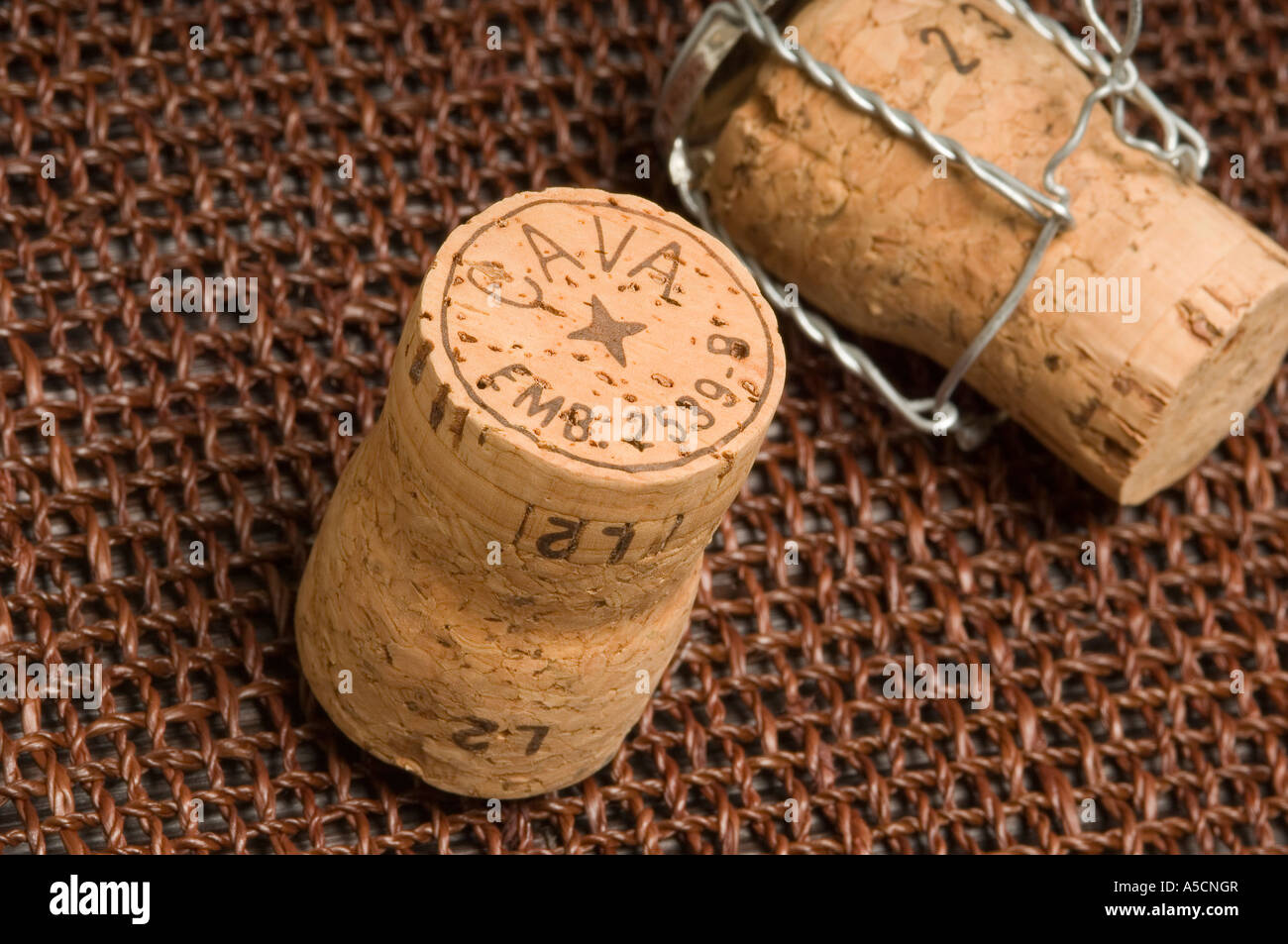 Nahaufnahme von Cava Weinflasche Korken Korken Stockfoto