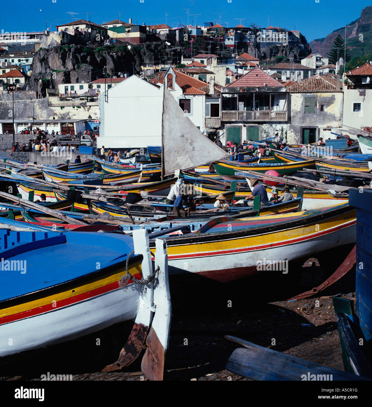 Angelboote/Fischerboote Camara de Lobos Madeira Stockfoto