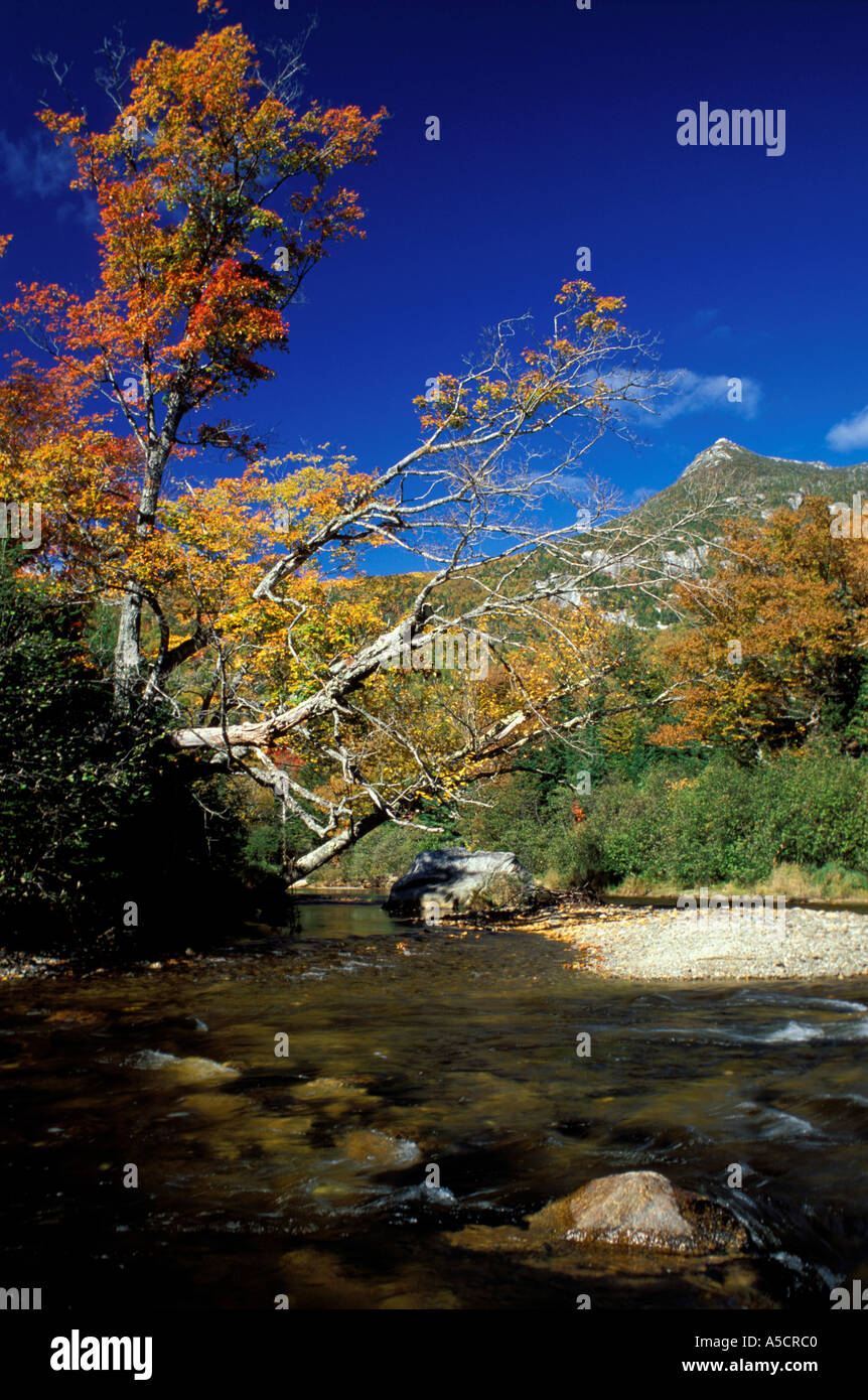 Baxter State Park ME Fall Nesowadnehunk Strom und Doubletop Berg Stockfoto