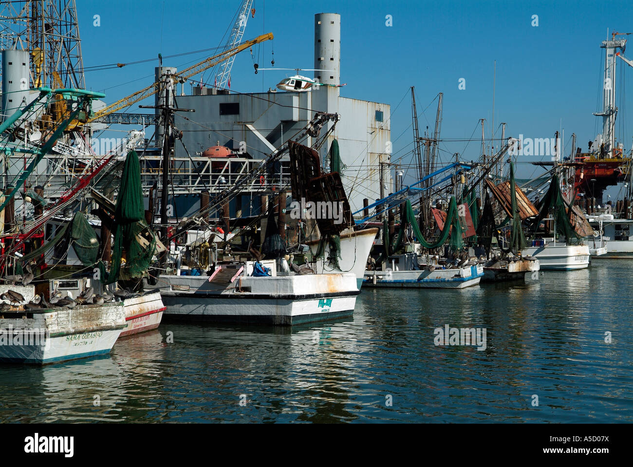 Hafen Sie mit Krabbenfischer in Galveston, Texas Golf von Mexiko Stockfoto