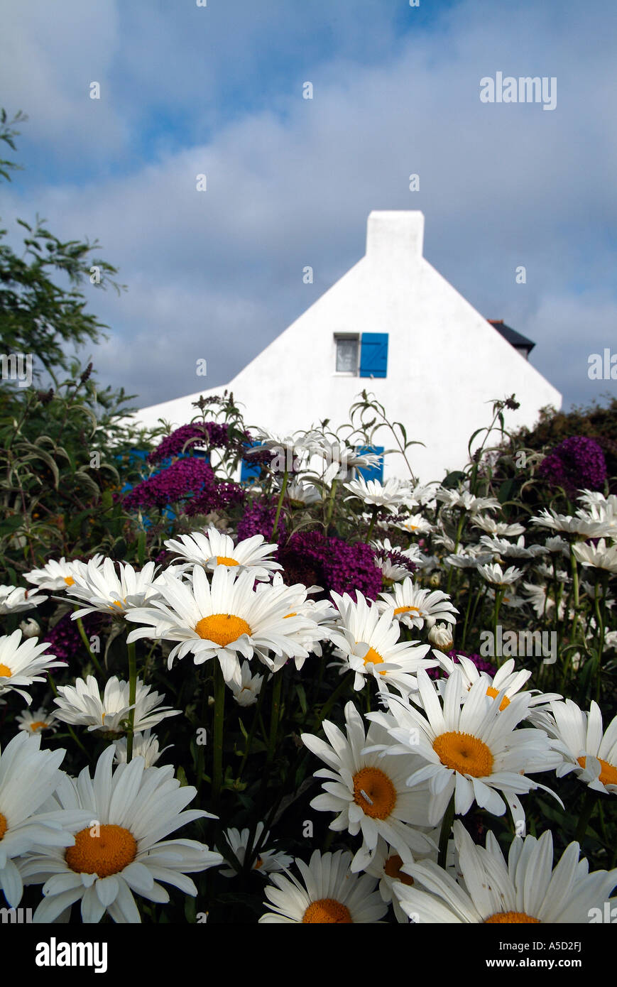 Typisches Haus in einem Dorf in der Belle-Ile En Mer, Bretagne Stockfoto