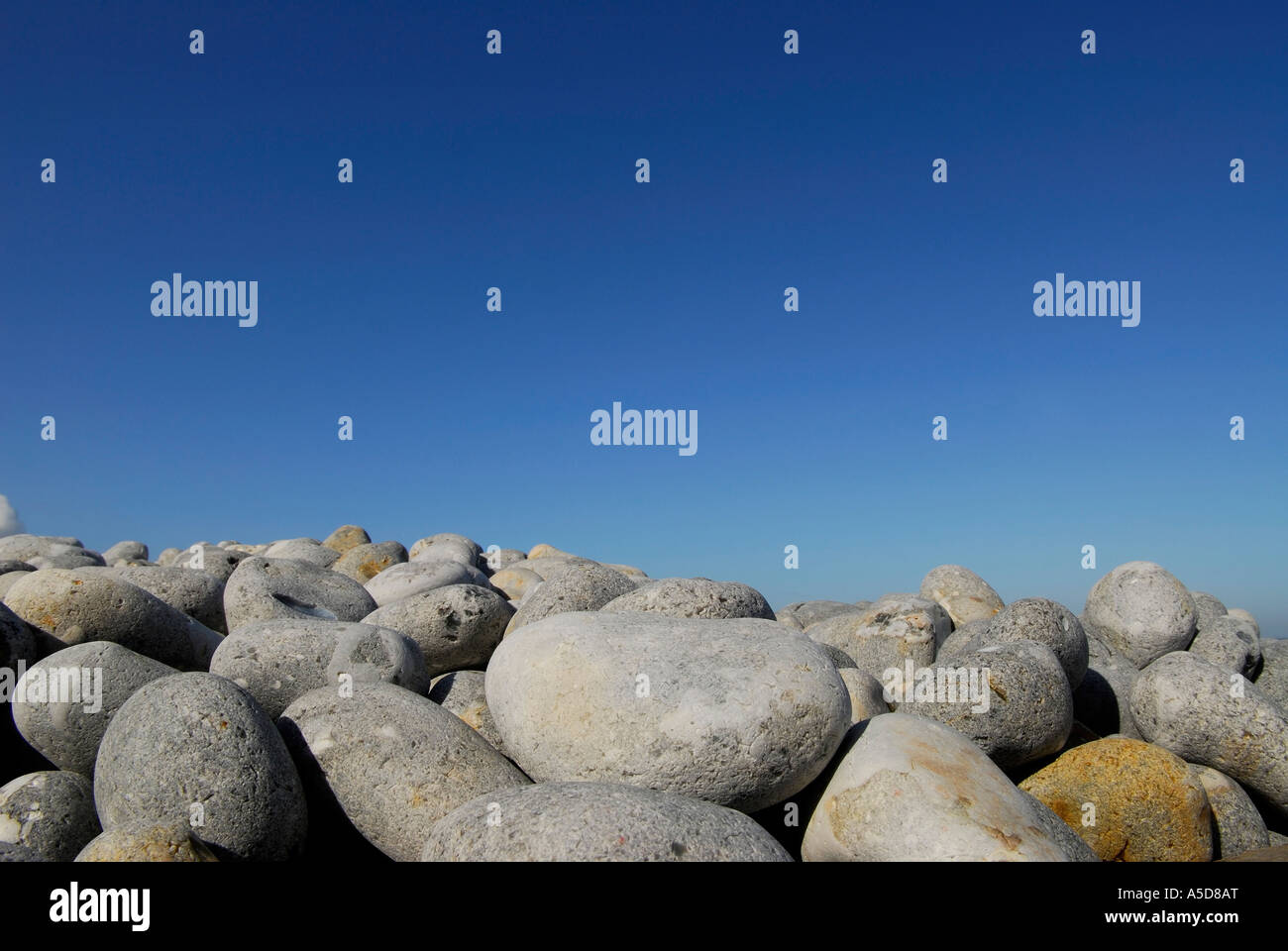 Kieselsteine am Strand Stockfoto