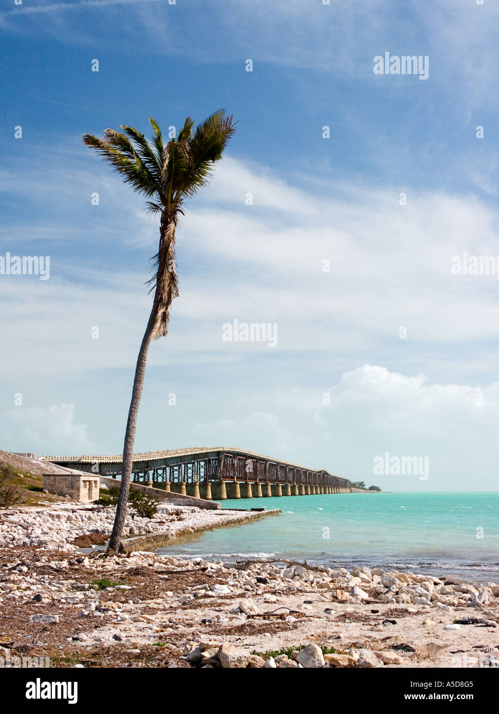 Seven Mile Bridge in den Florida Keys Stockfoto