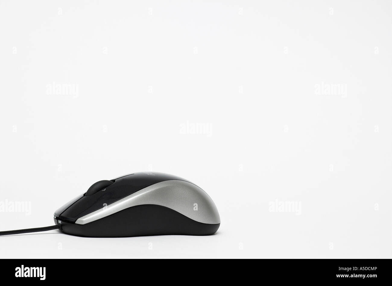 Computer-Maus Stockfoto