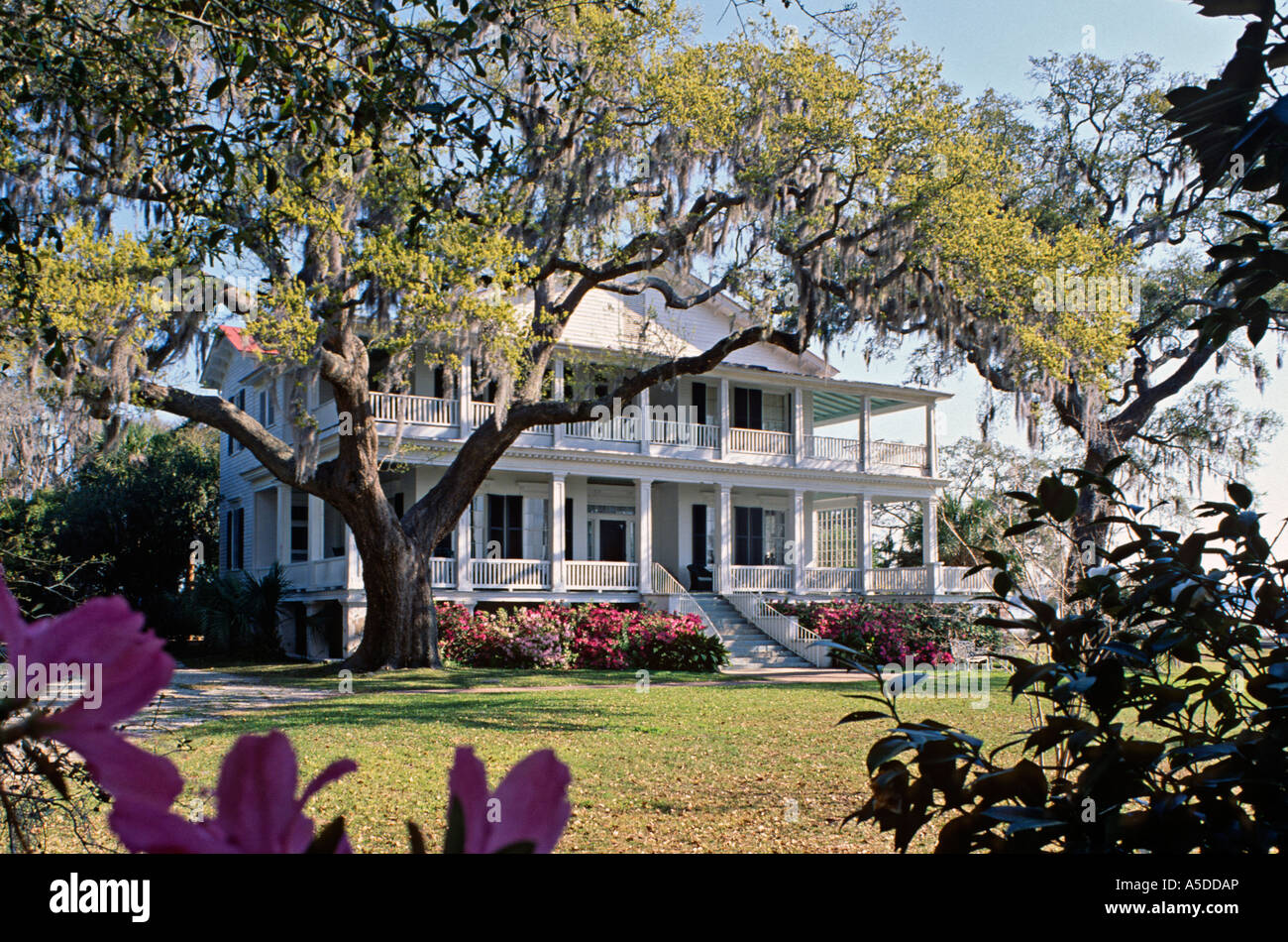 Antebellum Haus in Beaufort South Carolina USA berühmt als der Schauplatz des Films The Big Chill Stockfoto