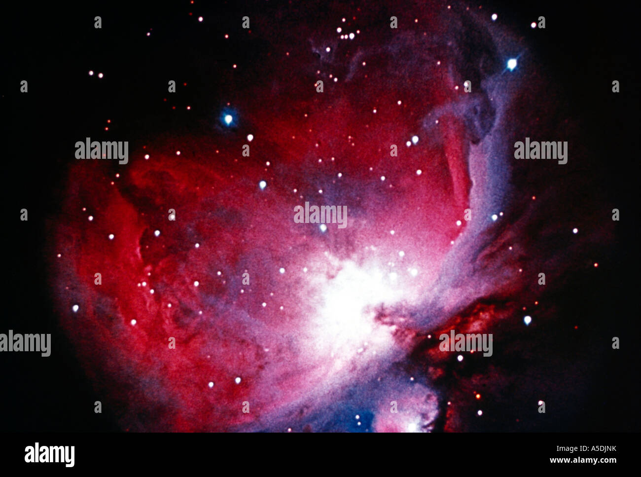 Orionnebel ein diffuser Nebel in der Milchstraße Stockfoto
