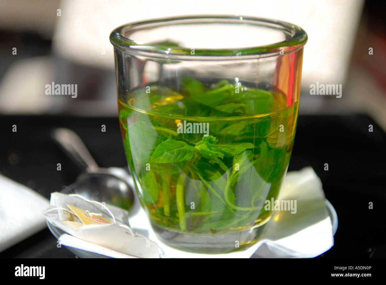 Glas Tee mit frischer Minze Stockfoto