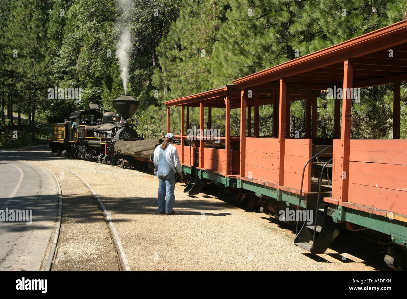 Der Dampfzug auf der Zucker-Kiefer Railway, Yosemite-Nationalpark, Kalifornien, USA Stockfoto