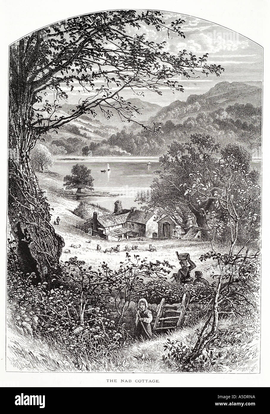 NAB Cottage Cumbria Thomas de quincey Schriftsteller Autor Ambleside Tal Baum Schafe Wasser Nationalpark Lake District UK GB England Stockfoto