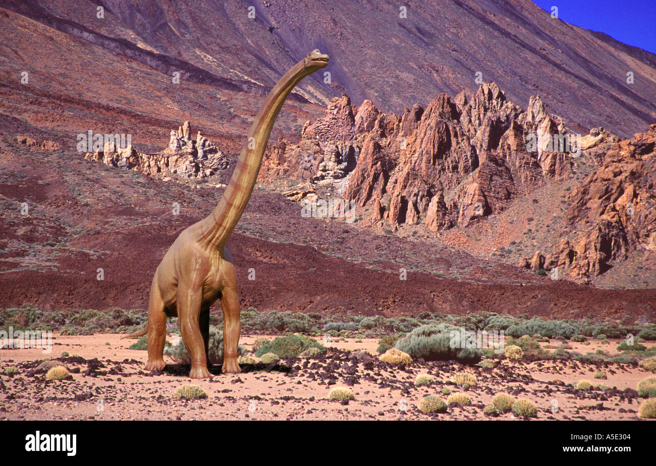 Brachiosaurus Fotos und Bildmaterial in hoher Auflösung Alamy