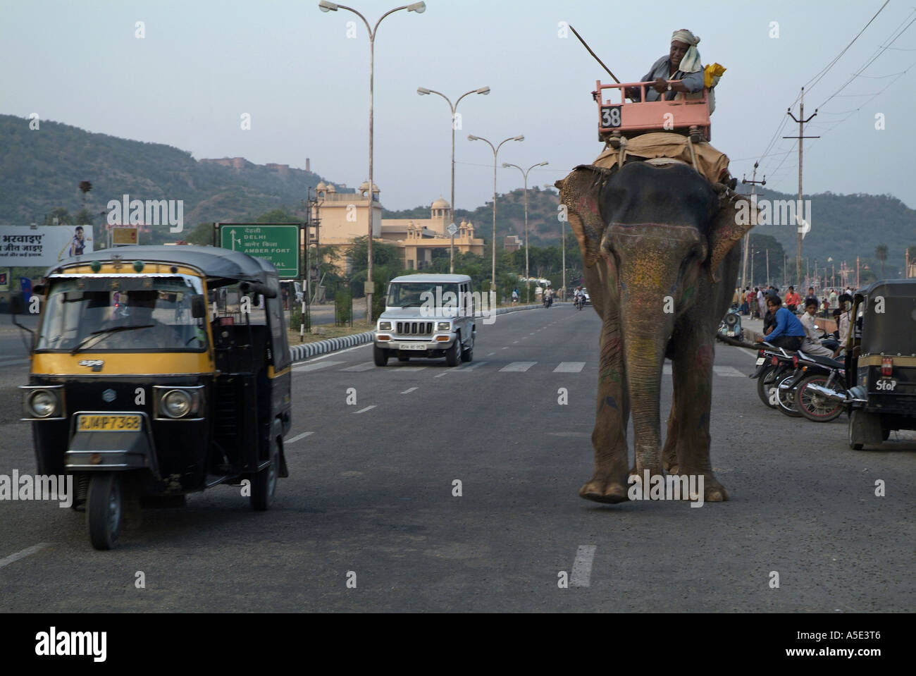 Elefanten sind eine andere Form des Transports in Jaipur Indien Stockfoto