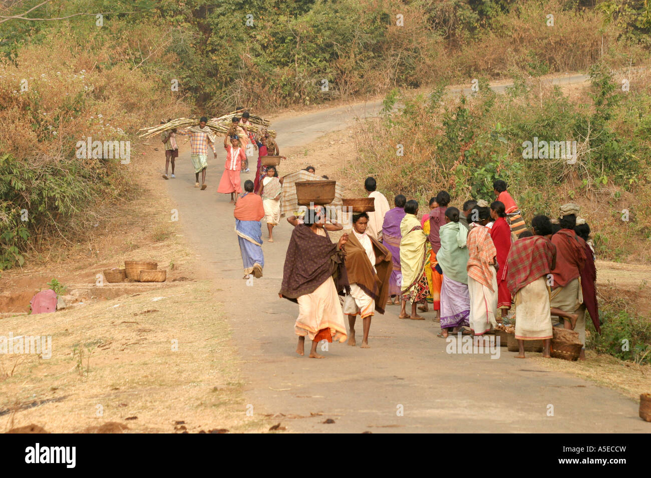Dongria Kondh Stammes-Frauen tragen schwerer Lasten auf dem Weg zu den wöchentlichen Tausch Markt, Orissa, Indien. Stockfoto